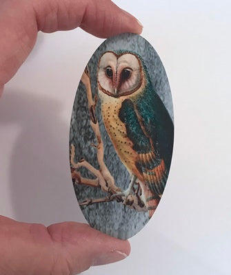 Barn Owl Large Oval